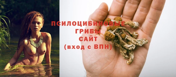 стаф Балабаново
