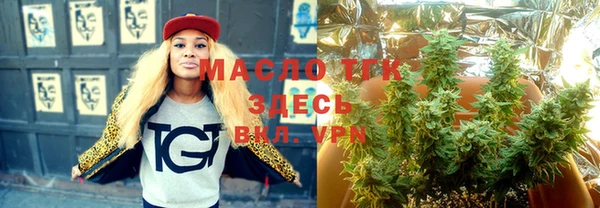 гидра Кодинск