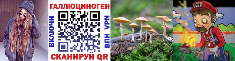 Псилоцибиновые грибы Psilocybe  Верхнеуральск 